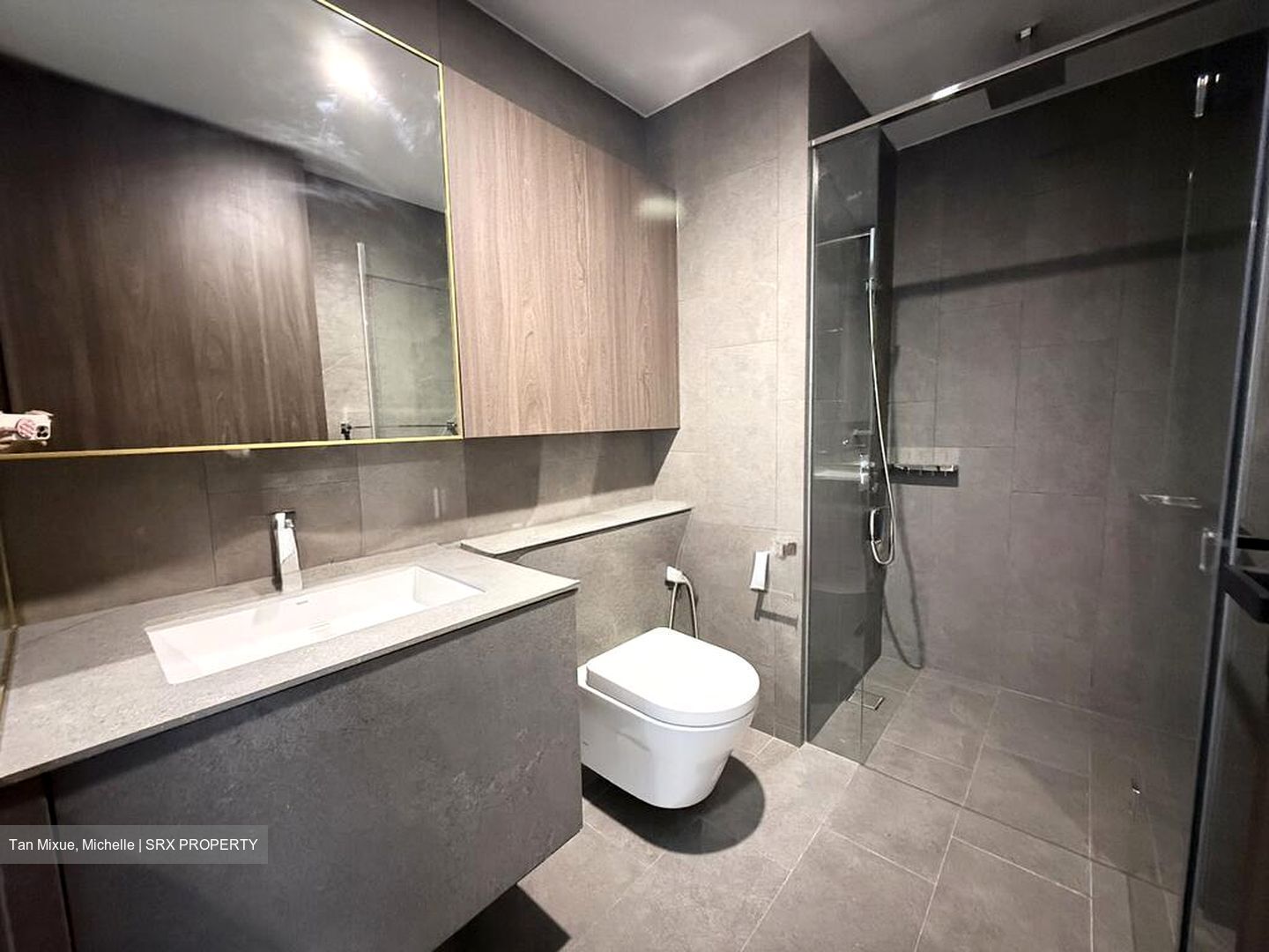 Midtown Modern (D7), Apartment #497235561